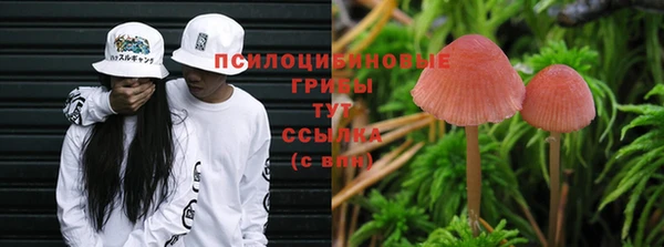 дурь Богданович