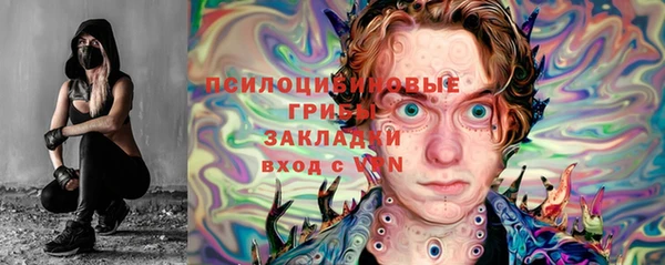 COCAINE Богородицк