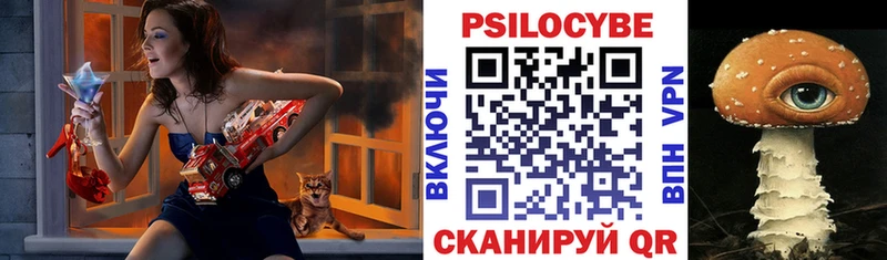 где можно купить   Гаврилов-Ям  Псилоцибиновые грибы Cubensis 